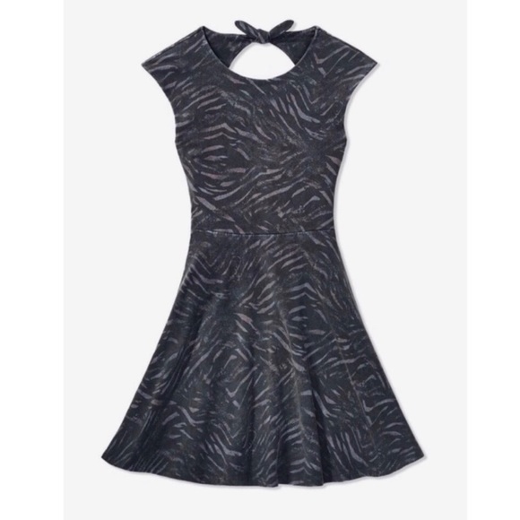 Aritzia Dresses & Skirts - Talula (Aritiza) Palmetto Zebra Print Skater Dress